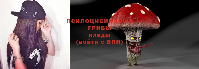 Псилоцибиновые грибы Psilocybe  Тосно 